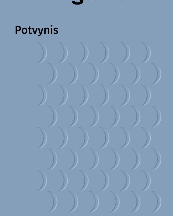 Potvynis