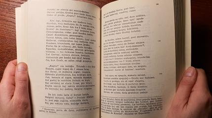 TOP 20 knygų bibliotekoje gegužės mėnesį