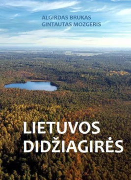 Lietuvos didžiagirės