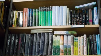 Balandžio mėnesio ieškomiausios knygos bibliotekoje