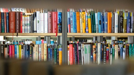 Ieškomiausių knygų gegužės TOP 20