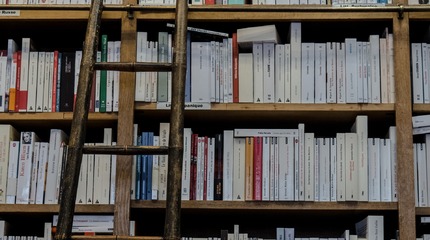 Bibliotekininkystės pagrindų mokymai bibliotekų specialistams