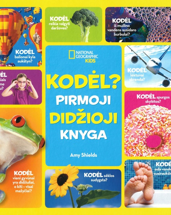 Kodėl? Pirmoji didžioji knyga