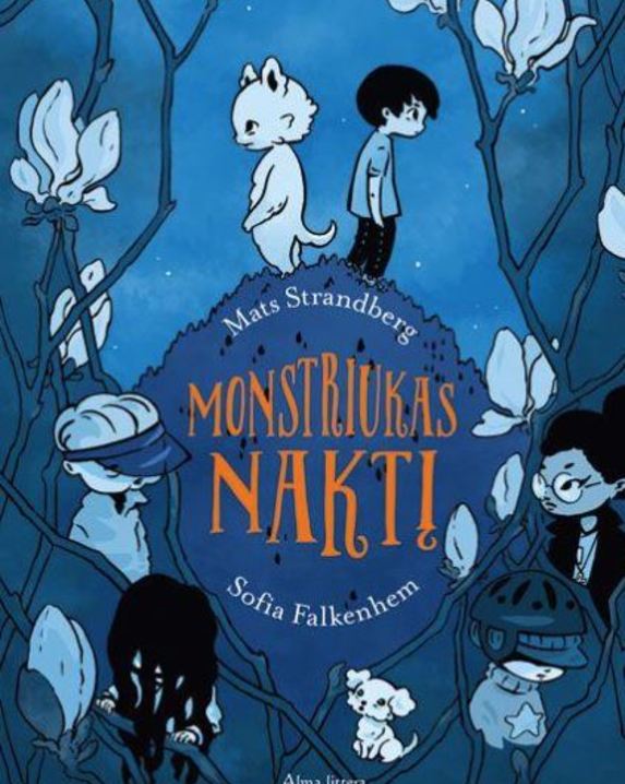 Monstriukas naktį