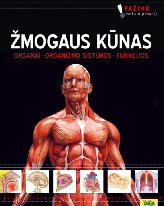 Žmogaus kūnas. Organai. Organizmo sistemos. Funkcijos